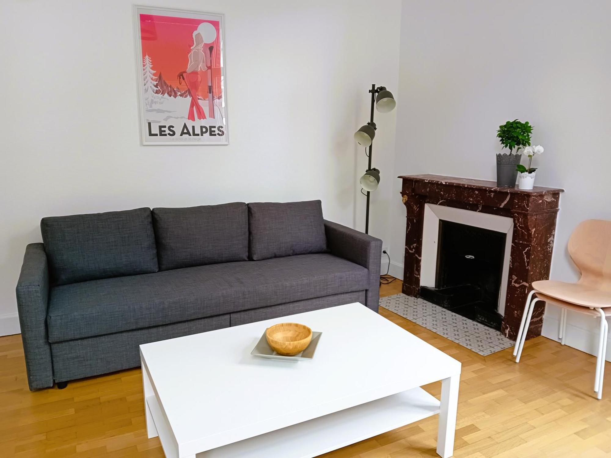 102 - Appart Renove Avec Grand Salon Et 1 Chambre - Tram Et Clinique Mutualiste A 1 Min Гренобль Екстер'єр фото