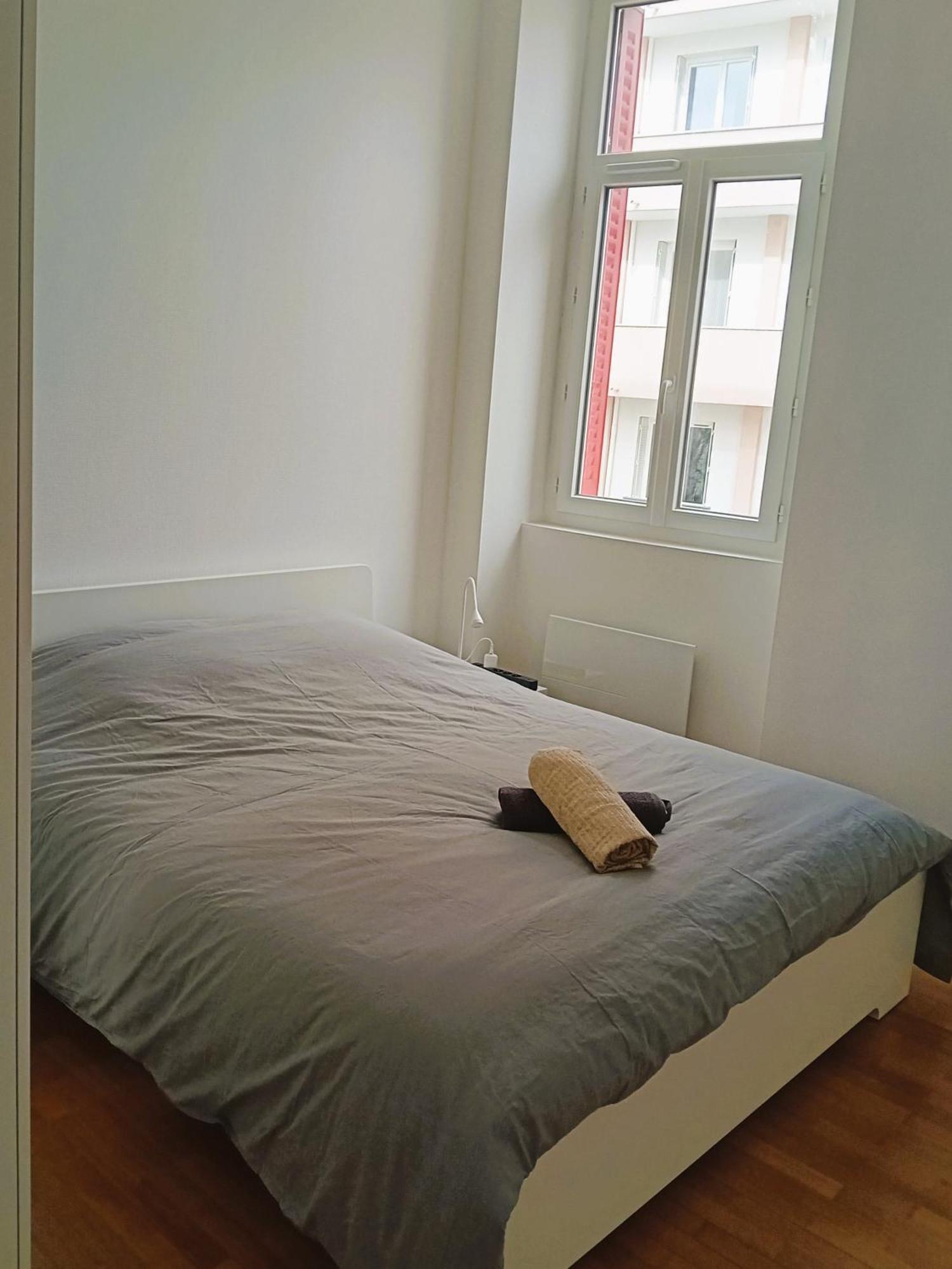 102 - Appart Renove Avec Grand Salon Et 1 Chambre - Tram Et Clinique Mutualiste A 1 Min Гренобль Екстер'єр фото