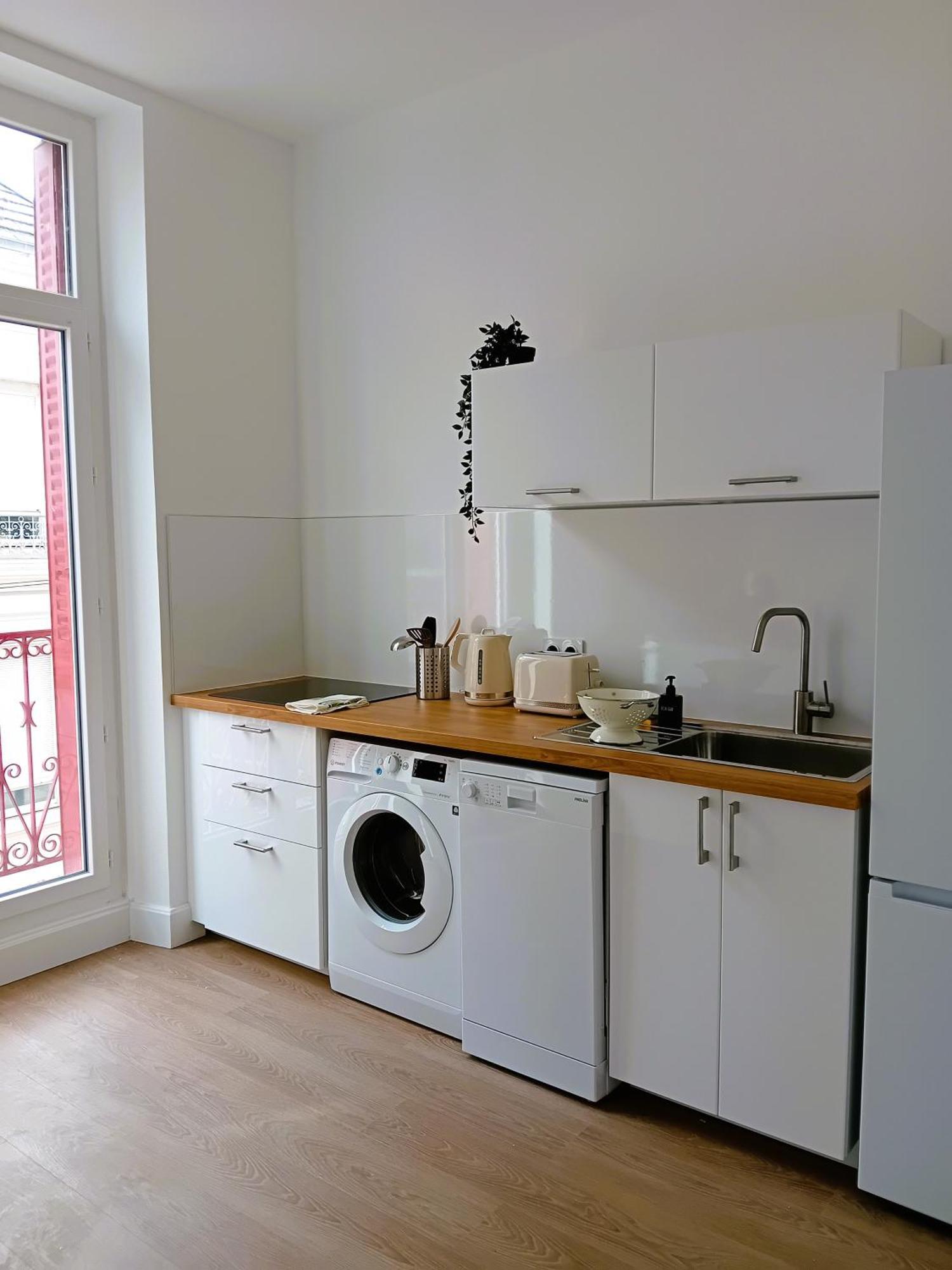 102 - Appart Renove Avec Grand Salon Et 1 Chambre - Tram Et Clinique Mutualiste A 1 Min Гренобль Екстер'єр фото